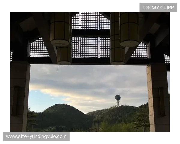 云顶国际俱乐部怎么样,解读其价格体系与性价比的实际情况