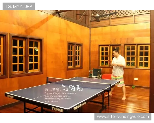 云顶在马来西亚的所有权结构详细解析与未来发展方向