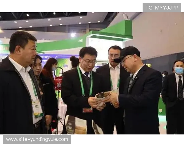 云顶集团简介：全面了解企业发展历程与核心业务的发展方向