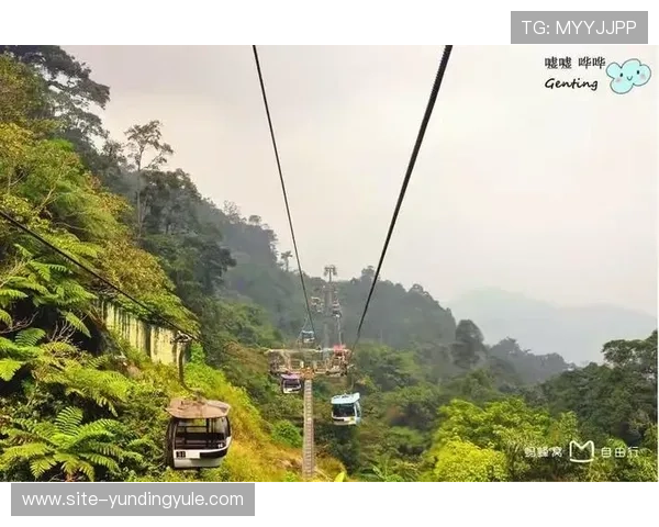 马来西亚云顶大赌场官方网站的移动端体验优化与手机登录指南