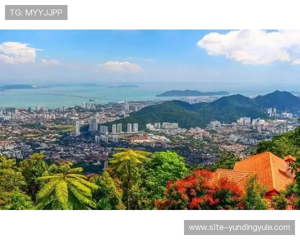 马来西亚云顶有限公司在旅游娱乐行业中的战略布局与市场份额提升方案